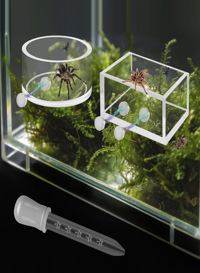 Windspeed 2+1P 1.8 in Mini Jumping Spider Feeding Dish Magnet Tarantula Water Bowl for Spider Feeder Water Dish for Tarantula Tank Enclosure Accessories, with A Dropper - Image 1